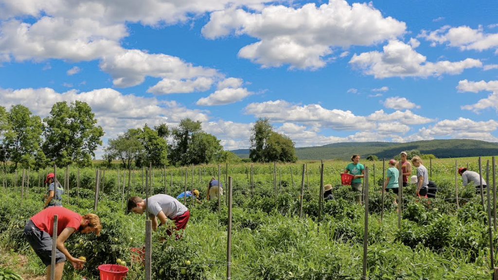 A visit to the Dickinson College Farm